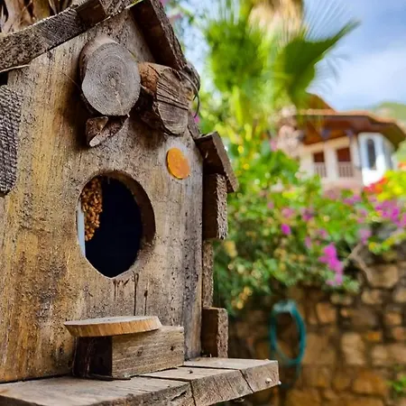 Liya Boutique & 아키아카