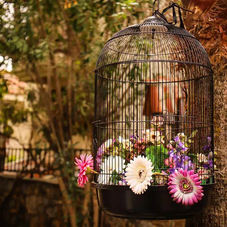 Liya Boutique & 아파트