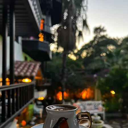 Liya Boutique & 아키아카