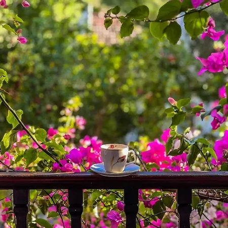 Liya Boutique & Apartament