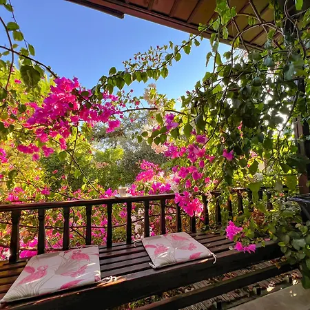 Apartament Liya Boutique &