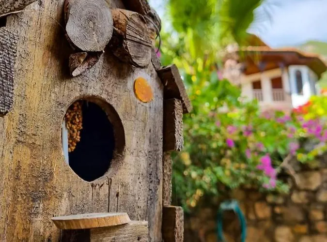 Liya Boutique & アクヤカ