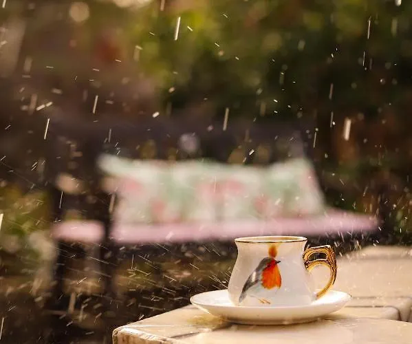 Daire Liya Boutique & *