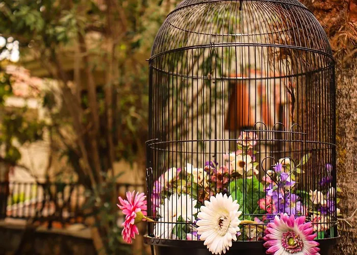 Liya Boutique & アパート