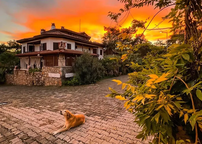 Liya Boutique & Daire *