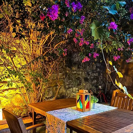 Liya Boutique & * 阿奇亚卡