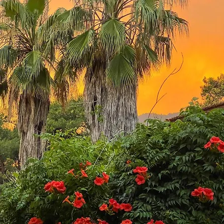 Liya Boutique & Lejlighed Akyaka (Mugla)