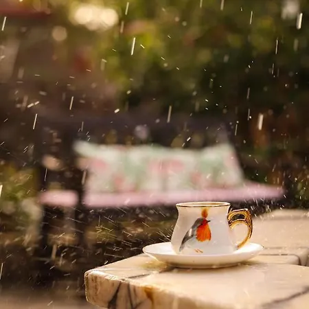 公寓 Liya Boutique & *