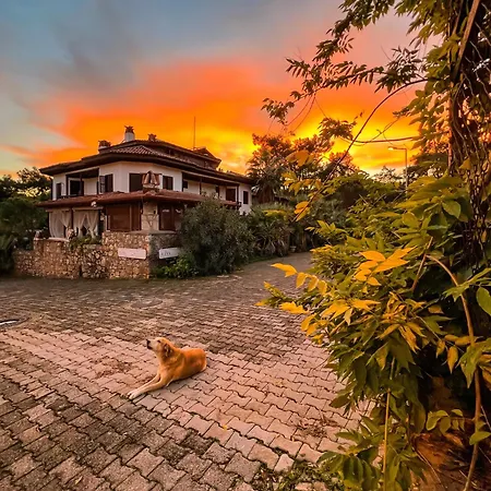 Liya Boutique & Appartamento *