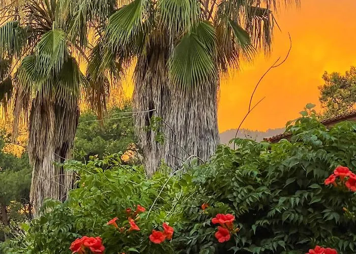 Liya Boutique & Appartamento Akyaka (Mugla)